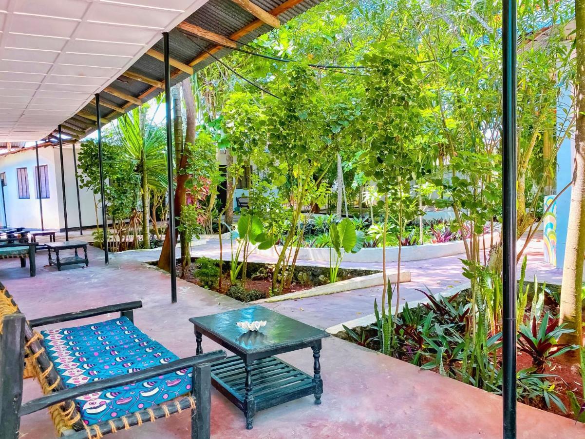 Papaya Guest House Nungwi Luaran gambar